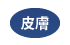 皮膚